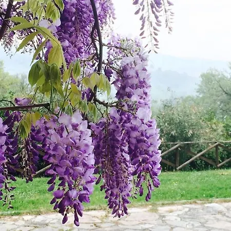 Villa Self Catering With Pool In Umbria, Italy *