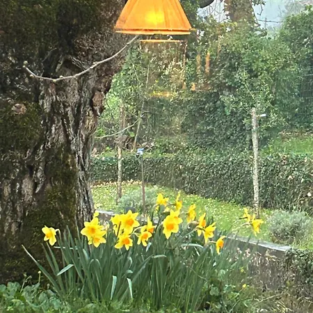 Self Catering With Pool In Umbria, Italy Villa *